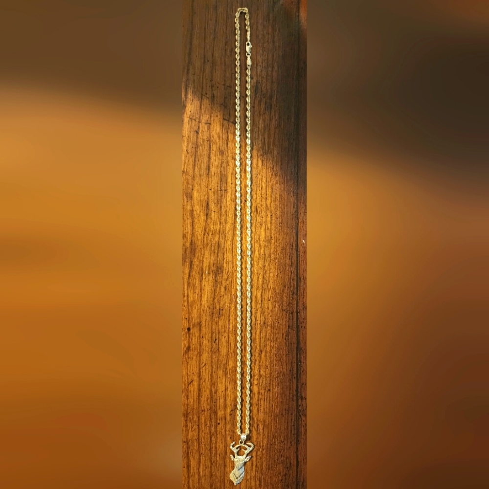 10k Gold Necklace and Pendant